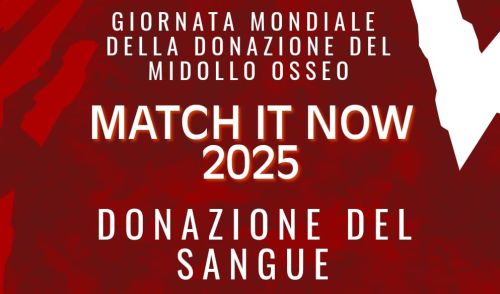 immagine della notizia