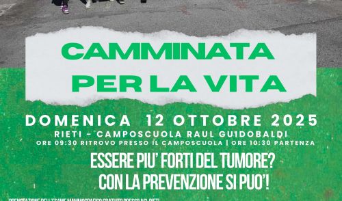 immagine della notizia